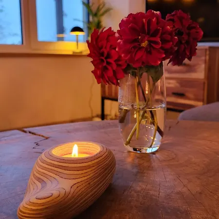 Modern-gemuetliche Mit Sauna Appartement