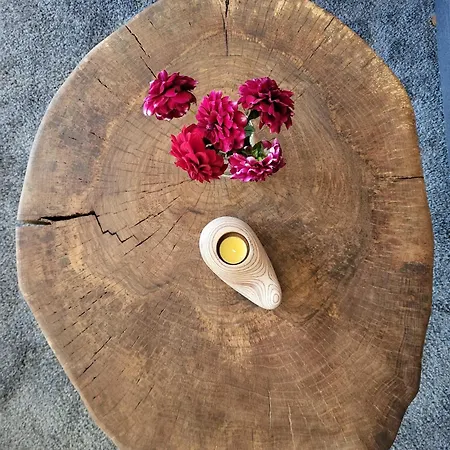 Modern-gemuetliche Mit Sauna *